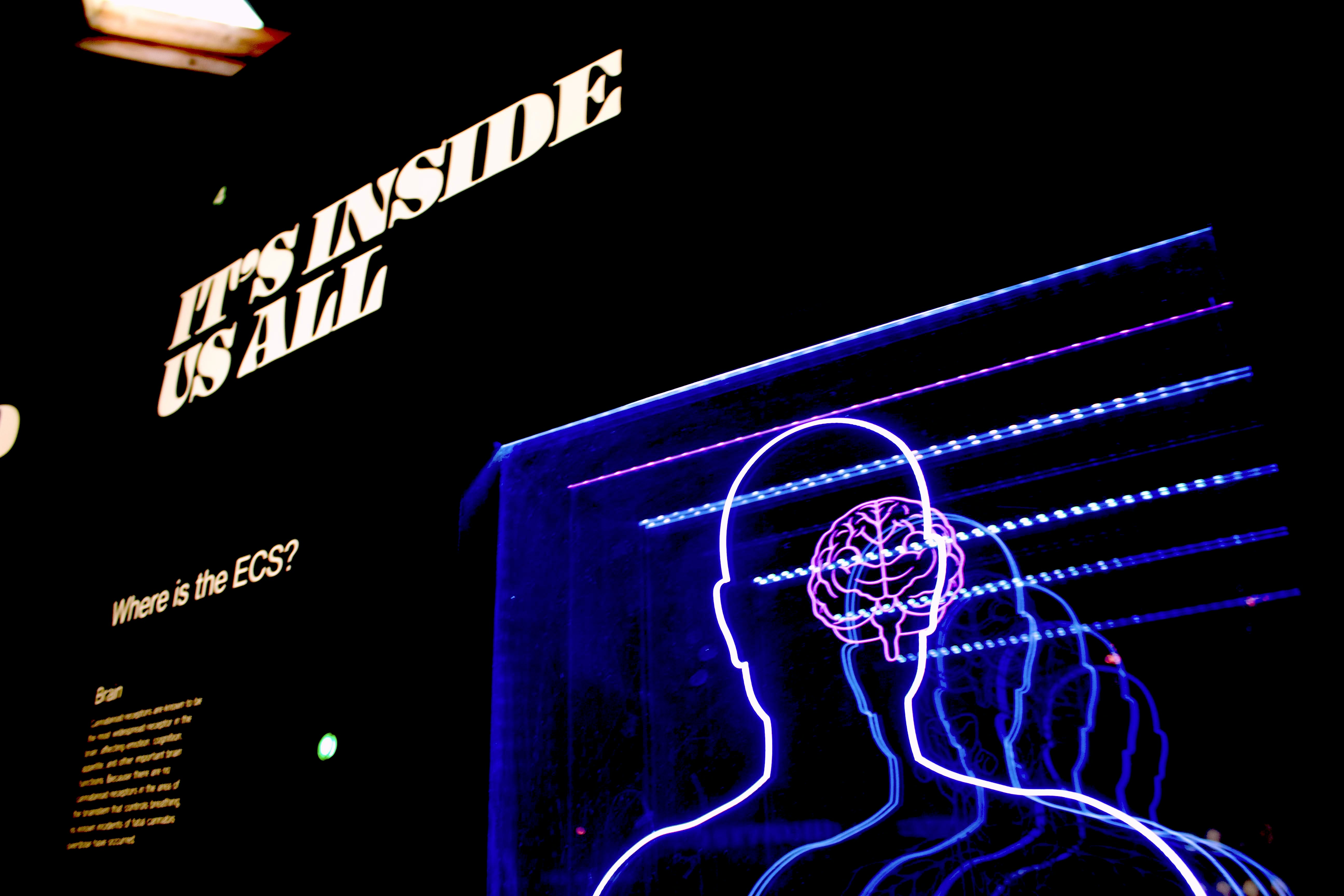 futuristic neon dark background